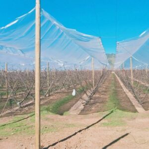 Mallas Plastificadas para Techo Frutal
